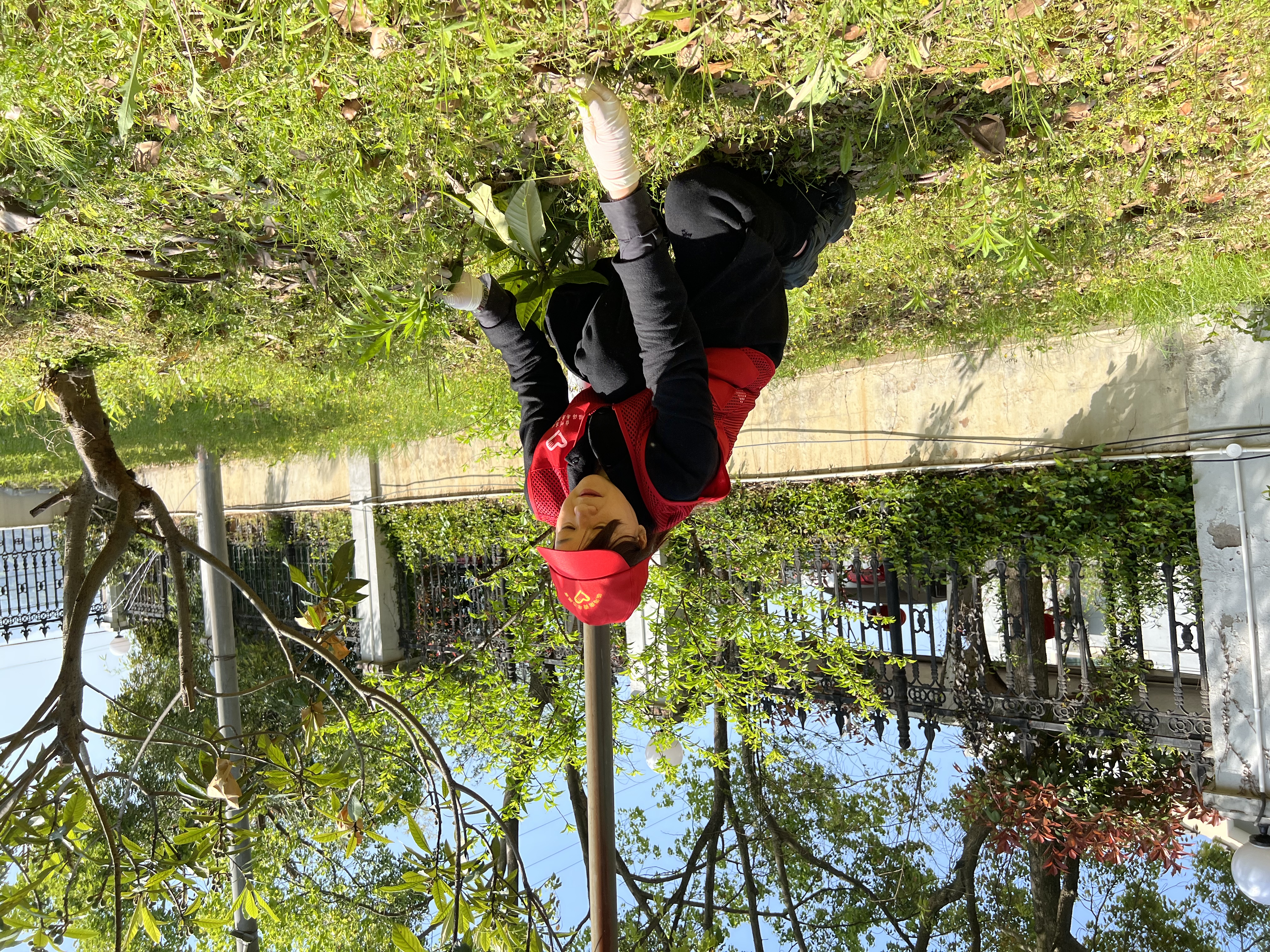 1649399453384527.jpg 4.jpg